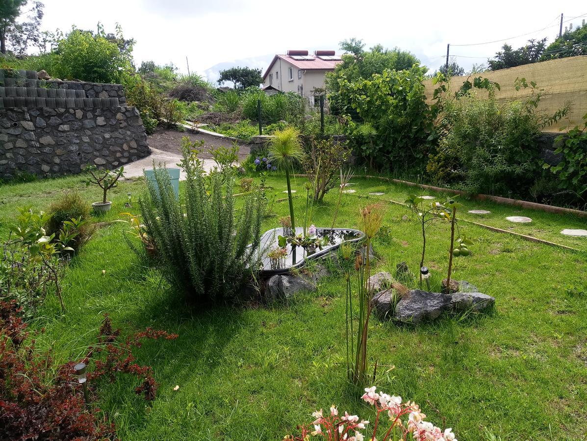 Les Jardins Creoles Apartment Cilaos Exterior photo